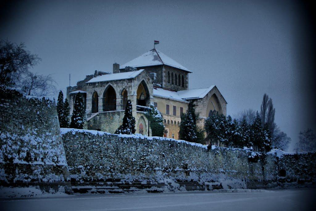 Siraly Panzio Topart Tata Exterior photo